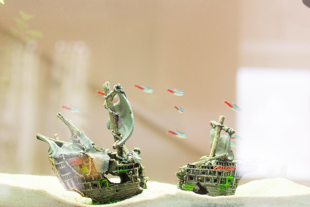 Il Giglio Verde Porto SantʼElpidio 外观 照片